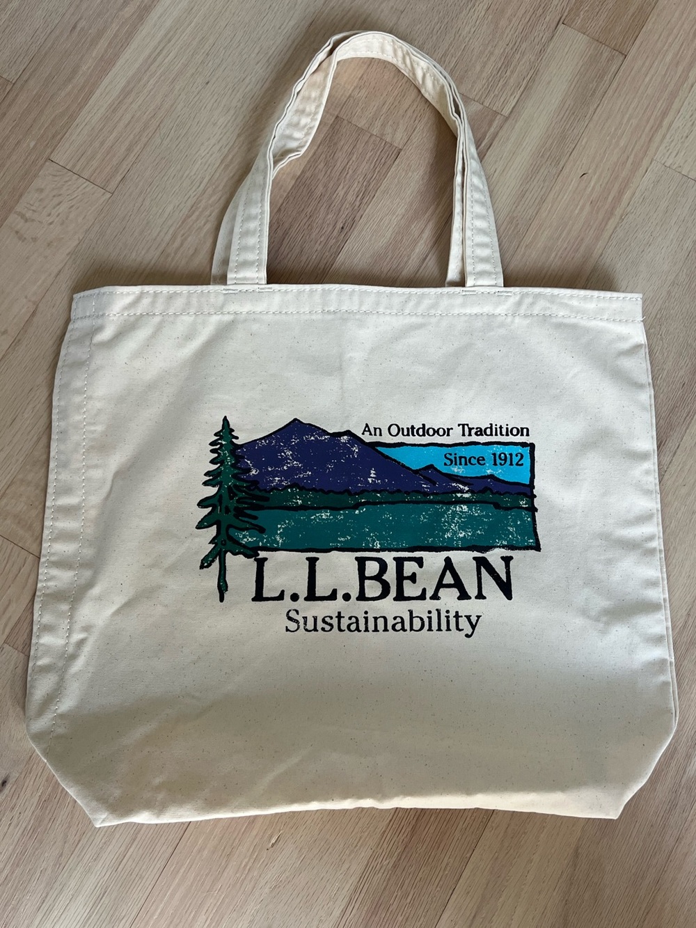 NWOT LL Bean Wicked Shoppah shopper